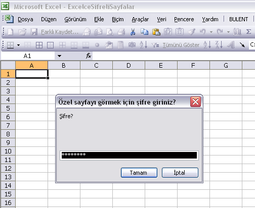 Excel Şifreli sayfa
